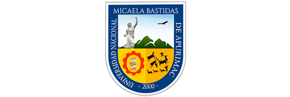 Univ. Nac. Micaela Bastidas Apurimac